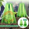 20X Plant Protector Mini Greenhouse Bell Jar Cloches Garden Cloche Garden Plants Nursery Cover for Yard Outdoor Farm Backyard