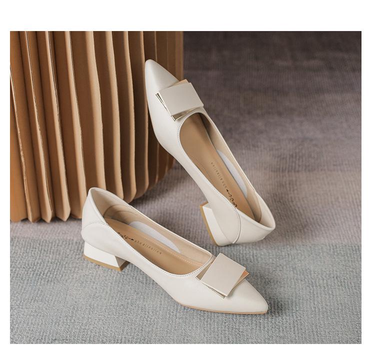 Women's Soft Leather Pointed Toe Mid-Heel Buckle Shoes for Spring/Autumn