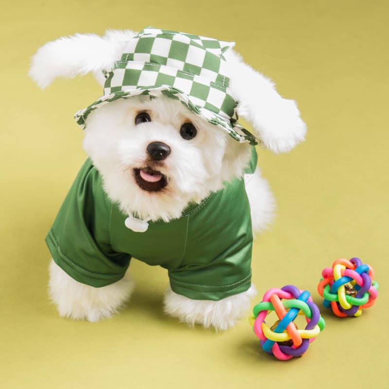 [Pet] Check Bucket Hat M