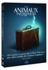 Dvd film les animaux fantastiques