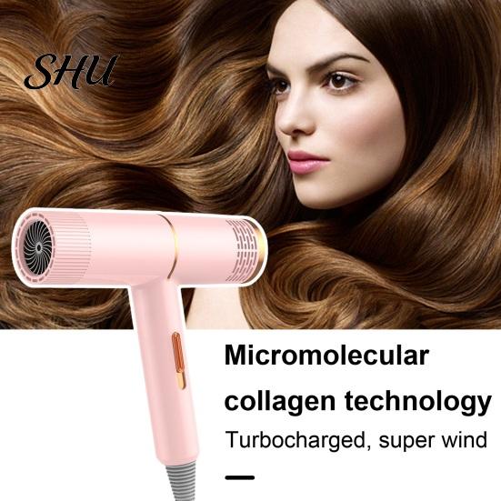 Salon-quality Hair Care Technology Dryer Household with 800W High-Power Blue Light Negative Ion Blow Double Collagen And Protection Women Men for Mute
