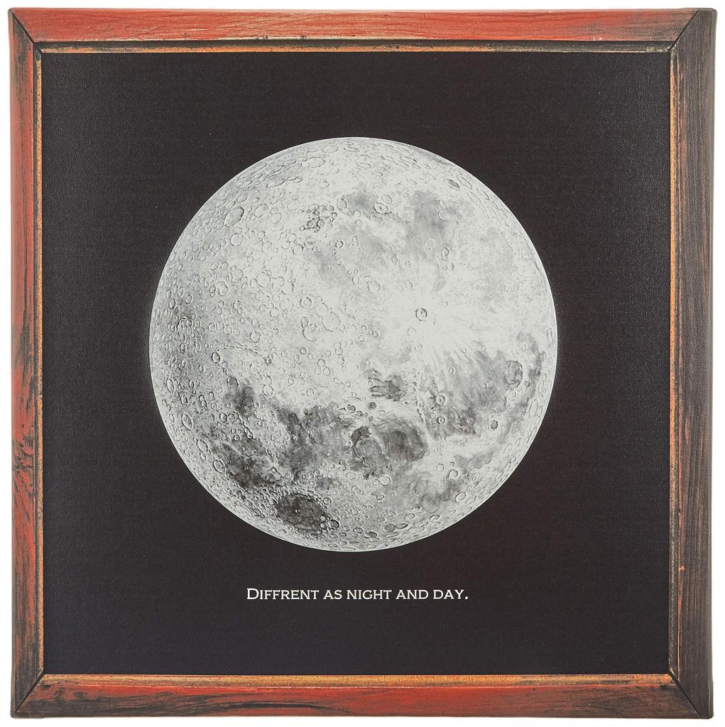 Lib Moon Space Fabric Panel 57cm Canvas Art Black Interior Decor Made Japan
