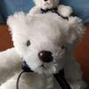 [USED] Mini Teddy Bear (Pair/Twins) Stuffed Bears