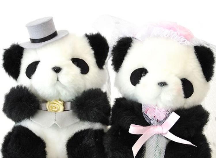 Bambussprossen Hochzeitsset Panda