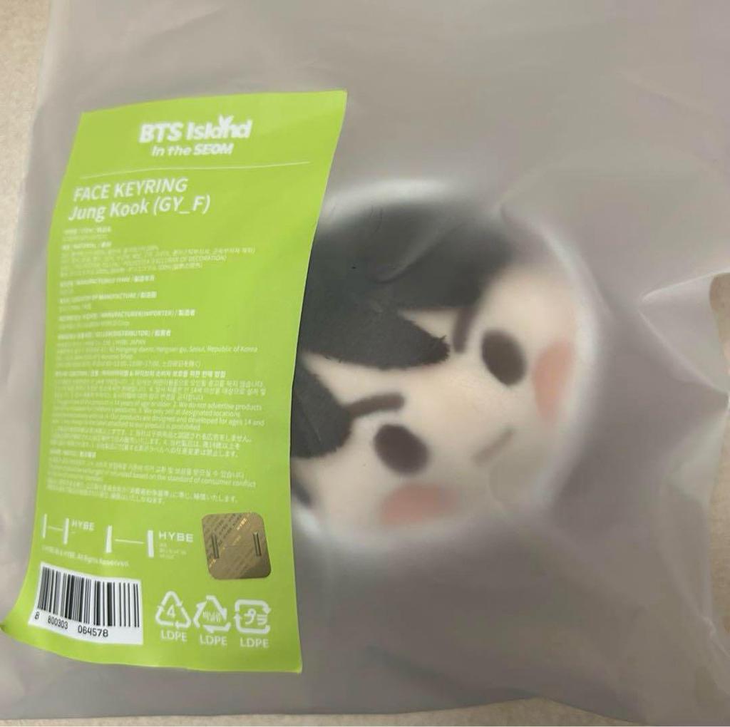 [USED] BTS Festa 2025 Face Keyring Mascot Korea Jungkook