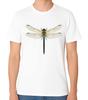 Libellen T-Shirt Detailliertes Insekt Natur Tierwelt Grafik Geschenk Unisex Tee