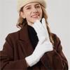 New Plush Winter Gloves Warm Knitted Driving Mittens Full Touchable Screen Full Gloves Gift