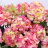 Aritificial Flowers 9 Head Bouquet Decorations