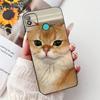 6.0" For Tecno Pop 4 Case Silicone Funny Luxury Cute Cartoon Cat Girls Cool Boys Back Cover For Techno Pop4 Phone Case BC2c BC1s