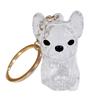 Dog Hair Collector Charm Keychain Transparent Pet Fur Keepsake Capsule Rabbit Memorial Pet Hair Collection Bottle Charm with Keyring Gift for Pet