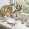 12 Set Dual Layers Self Watering Pots Clear Plastic Seedling Plant Pot  Plant Propagation