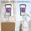 60Kg/10g Portable Digital Weight Scale Electronic Luggage Hanging Scale Rechargeable LCD Display Fishing Weighing Balance