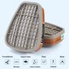 6001 Filter Cartridges Replacement for Gas Respirator, 2pcs Filter Cartridges + 2pcs Filter Covers+8pcs Filter Cottons, Apply to