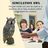 Solar Powered Owl Hunting Decoy Bird Scarer Deterrent Pest Control Garden Decor Eye Not Glow