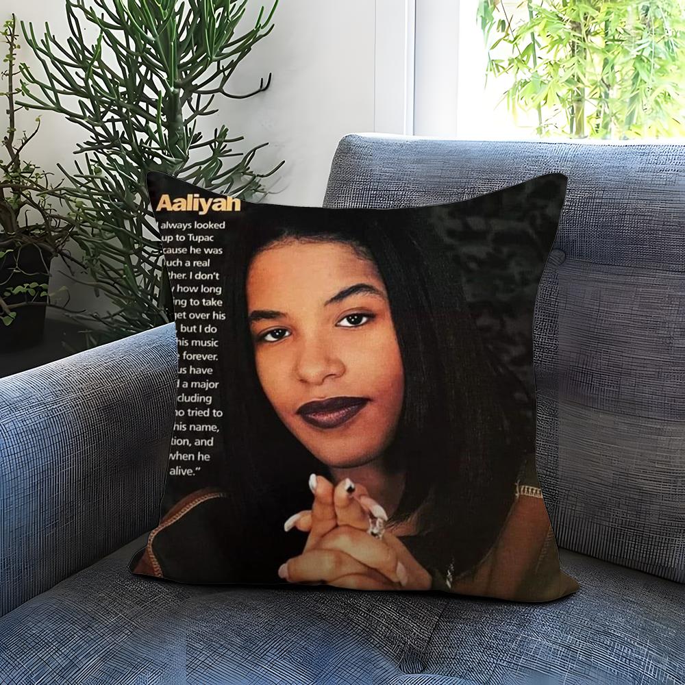 Popular A-AAaliyah Cushion Cover Comfortable Reversible Pillow Cover Ideal for Car Sofa Bedroom & Beyond
