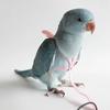 Parrot Flying Harness Rope Bird Walking Rope Ultra-light Flying Towing Rope
