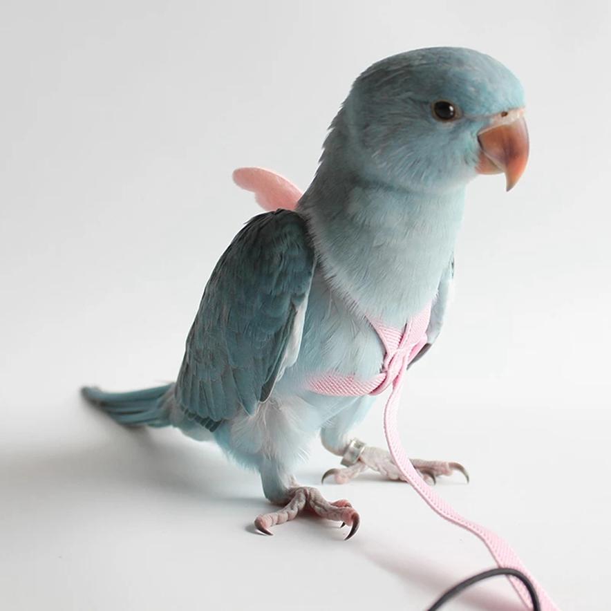 Parrot Flying Harness Rope Bird Walking Rope Ultra-light Flying Towing Rope