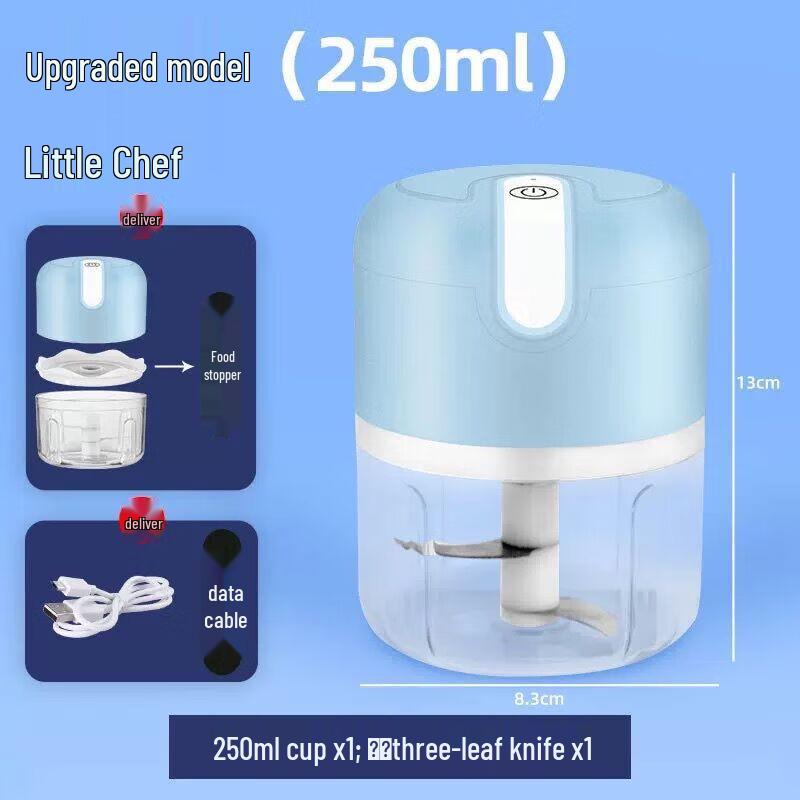 

ZISIZ Electric Mini Food Chopper and Garlic Masher