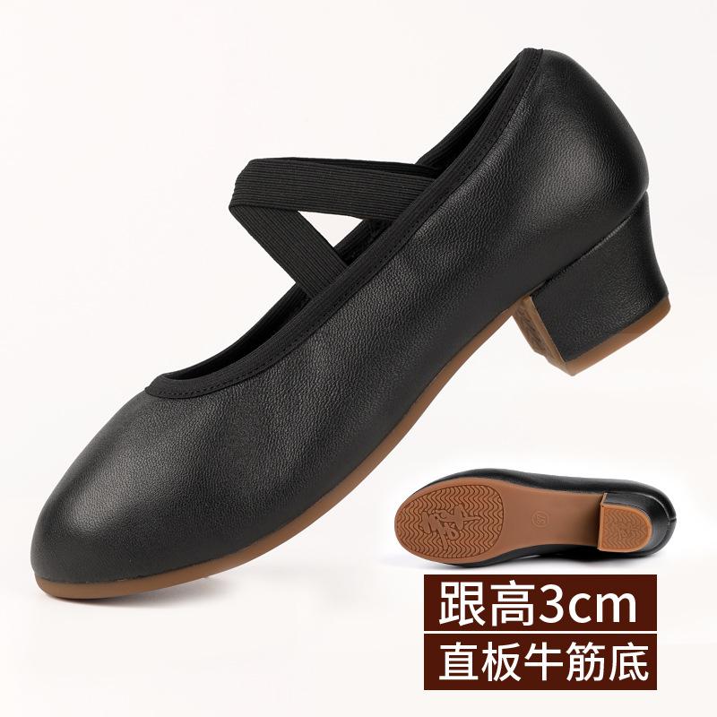 

Модные танцевальные туфли для женщин, двухточечная плоская подошва, обувь для преподавателей, профессиональная танцевальная обувь 42