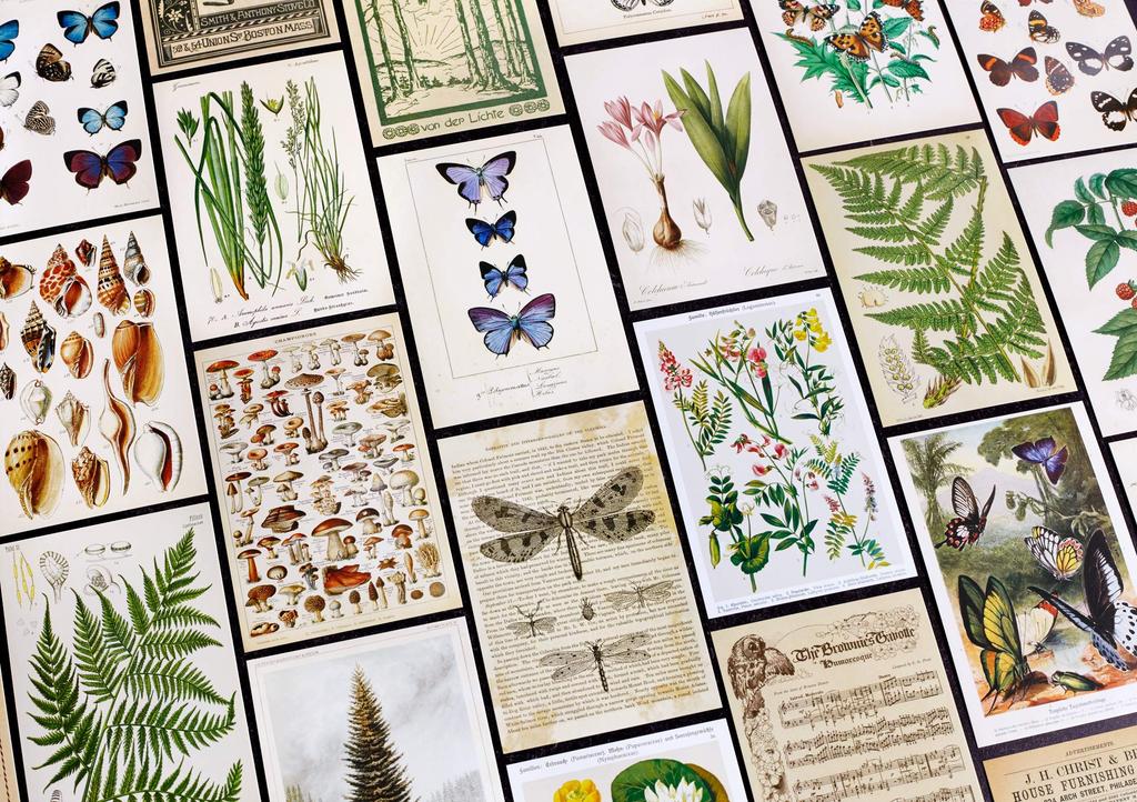 Wintertime Crafts Vintage Collection Postcard Pack of 30 Retro Style Nature and Ephemera Set Botanical, Postcards.