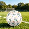 1pc Koala Winter Hat Theme Soccer Ball Football, Size 5, Lightweight PVC, Outdoor Training Soccer Ball,Gift j61464
