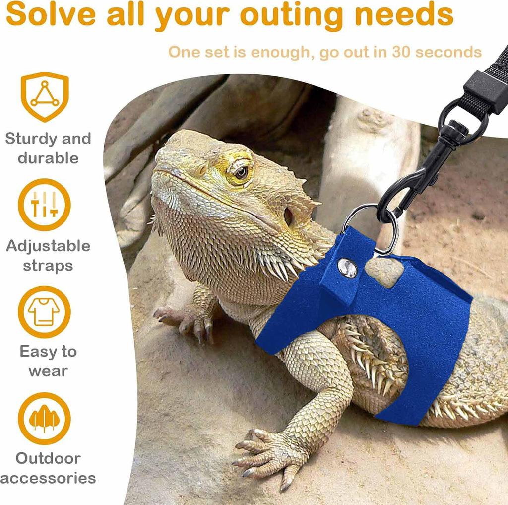 Bearded Dragon Adjustable Leather Harness & Leash Set