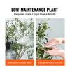 Artificial Olive Tree, 1.5 m Tall Faux Plant, Secure PE Material & Anti-Tip Tilt Protection Low-Maintenance Plant, Lifelike Green Fake Potted Tree for