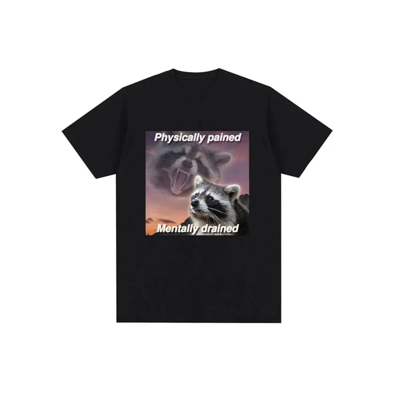 

Physically Pained Mentally Drained T Shirt Funny Raccoon Meme Graphic T-shirt Casual 100% Cotton Unisex Oversized T-shirt Top778 S