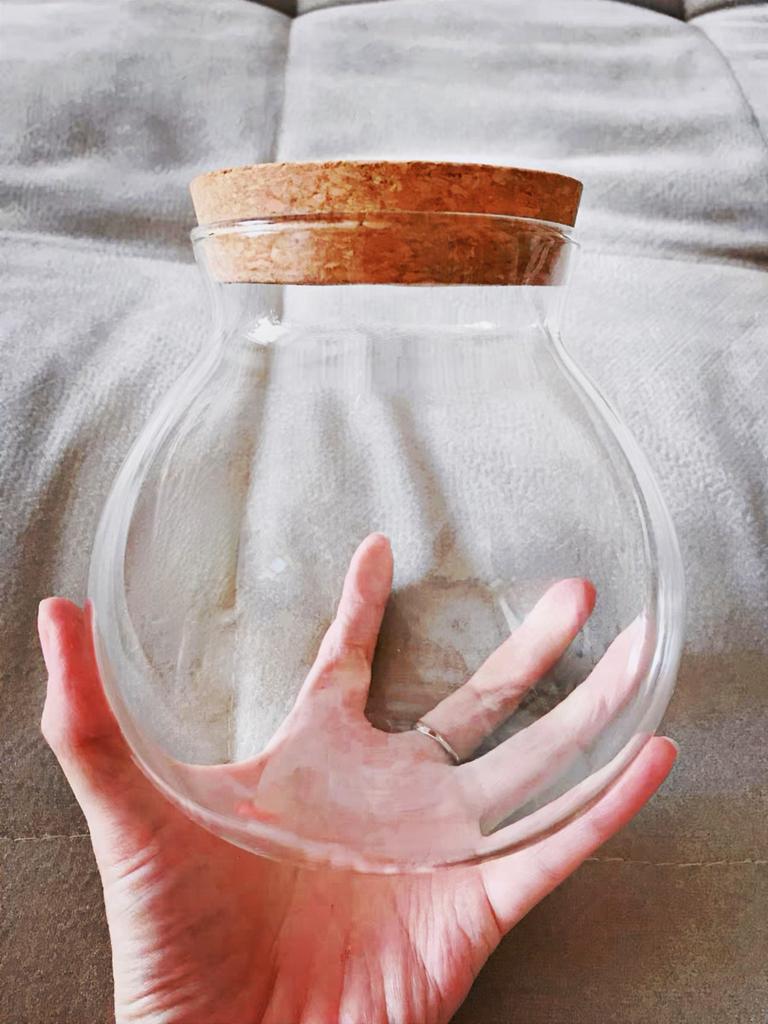 Micro Landscape Glass Bottles with Cork Lid Glass Vase Bryophyte Moss Plant Container Glass Terrarium Bonsai Desktop Decoration