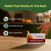 Kerala Ayurveda Triphala Churna Tablets 100 Count For Gut Health Digestive Support And Daily Bowel Balance