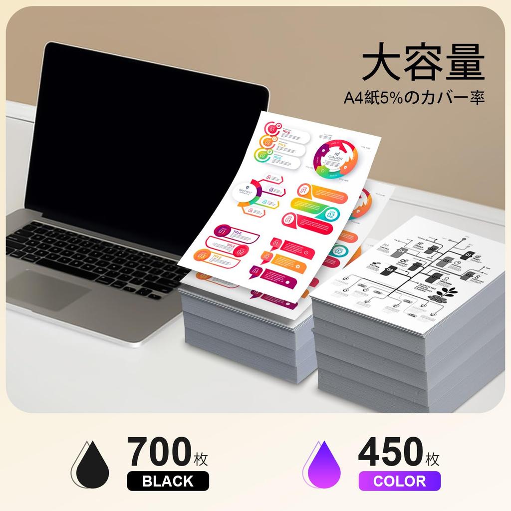 Delightcolor Remanufactured Ink Cartridges for Canon XL and XL and Set of 2 Ink with Ink Level Display with PIXMA BC-365 BC-366 (Black Color) -