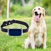 Perros – Collares y correas