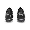 Puma Future Match FG/AG Low Top Kids Football Shoes Kids Football Shoes Black 107195-02