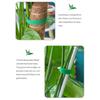 Auto Gripping Plant Ties 2cm Wide Soft Garden Straps Suitable For Vine Support And Cable Management 2cm Gardening Band