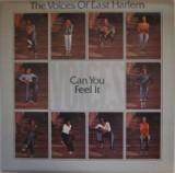 

CD VOICES OF EAST HARLEM - Can You Feel It (Music CD) UFOXY6CD Vinyl Experienc 1995 Non Japan Soul/Funk Used