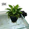 Plant Fixing Cup Aquarium Holder, Top Hanging Fish Tank Planter Basket with Screw Clamp for Anubias, Aquatic Plants Greenery Holder