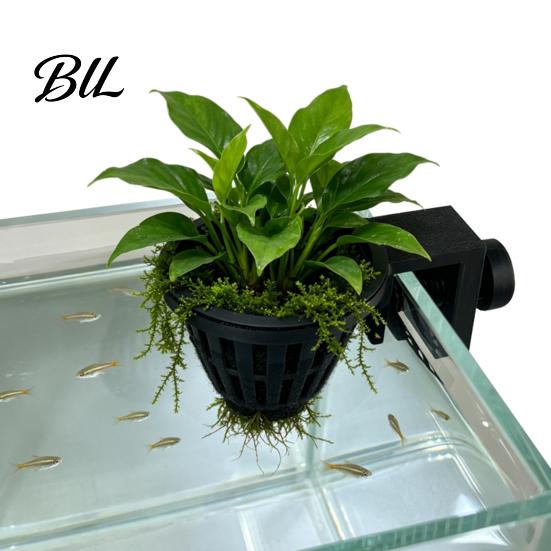Plant Fixing Cup Aquarium Holder, Top Hanging Fish Tank Planter Basket with Screw Clamp for Anubias, Aquatic Plants Greenery Holder