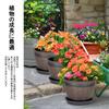 VECELO Planter Set (2 Pots): 19cm Wide X 14cm High. Plastic Planter with Saucer and Drainage Holes. Stylish Design for Succulents, Houseplants, and Ot