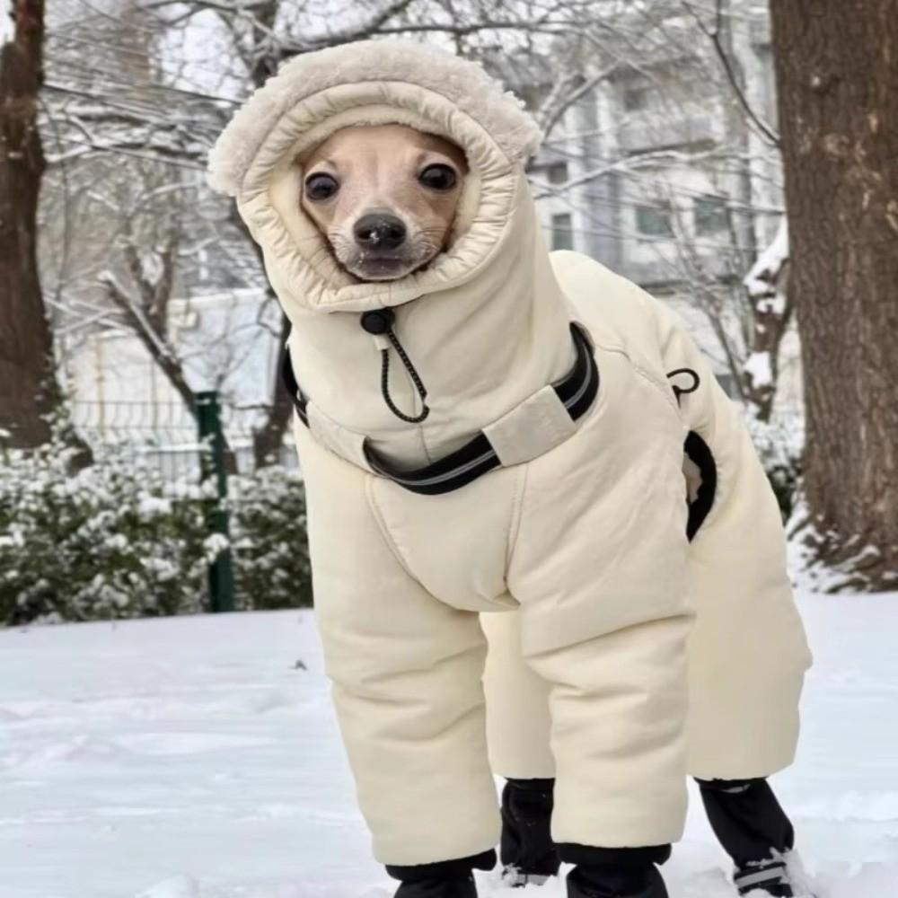Wasserdichte Winterhundejacke Verdickte Hunde-Baumwolljacke Haustier-Outfits Greyhound Whippet