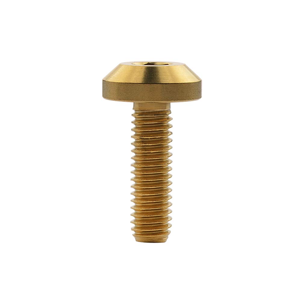Ruifu Titanium Alloy Hex Socket M6x12 15 20 25 30