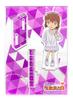 Detective Conan Land 2024 Acrylic Ai Haibara Stand