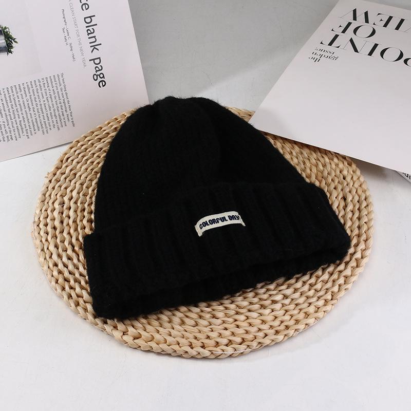 Women's Autumn and Winter New Big Head Circumference Warm Knitted Hat Korean Style Student Face Small Ear Protection Cold Hat Pile Hat