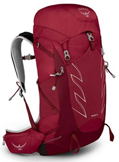 Buy Osprey talon 33 men's backpack 
