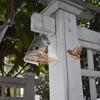 Outdoor Bird Feeder Outdoor Acrylic Windbreak Ball Bird Feeder
