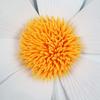 New 45cm Artificial Daisy EVA Giant Fake Flowers DIY Simulation Daisy Flower Show Props