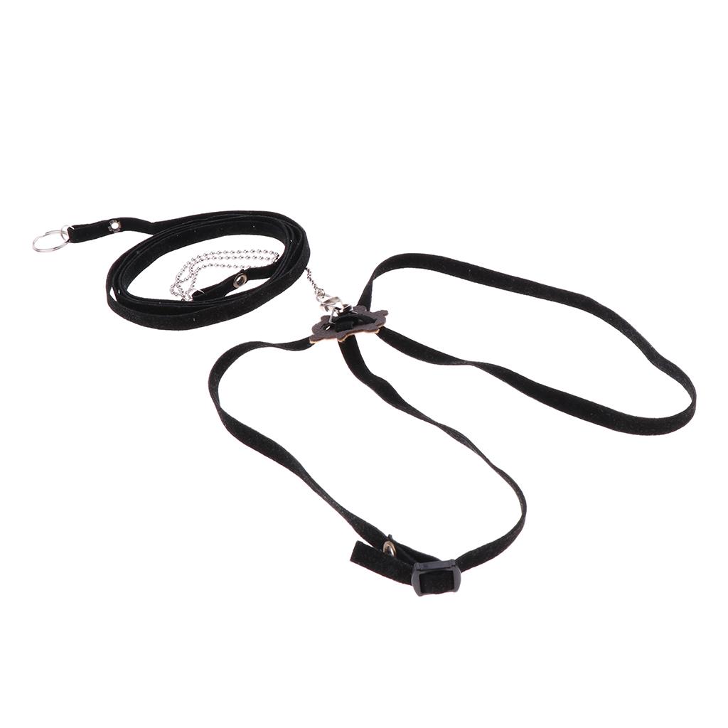 turtle harness leash