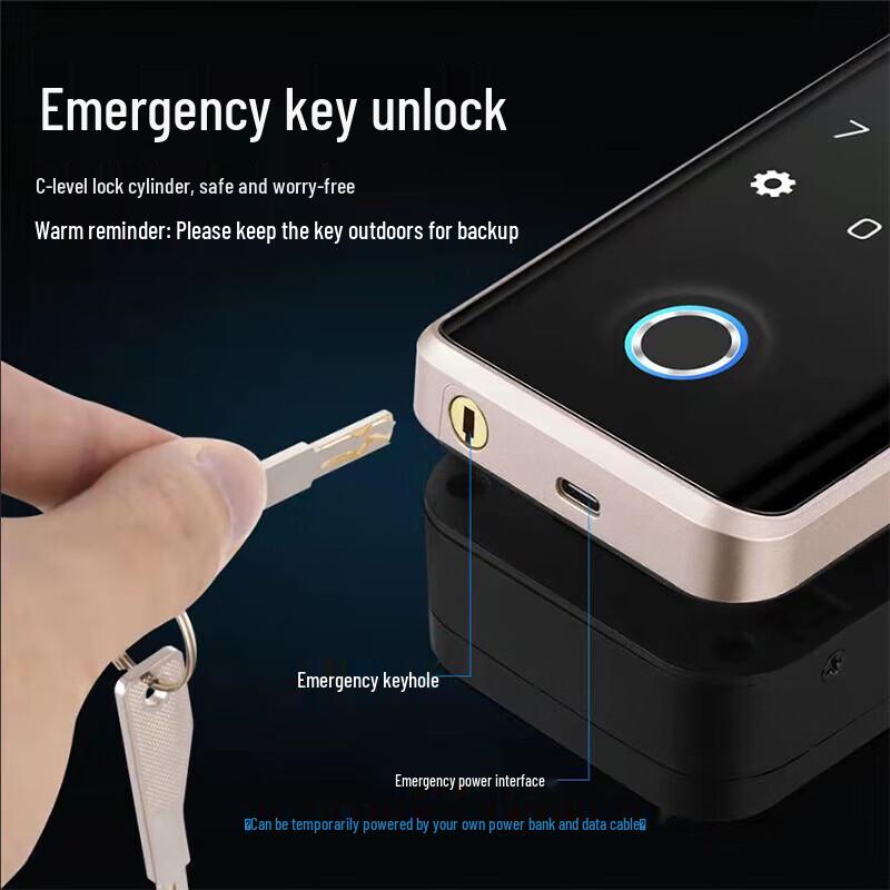 Realand ZD508 Face Fingerprint Access Control Lock CN plug (adapter included)