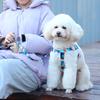 Capri Dog Leash, Collar, Harness