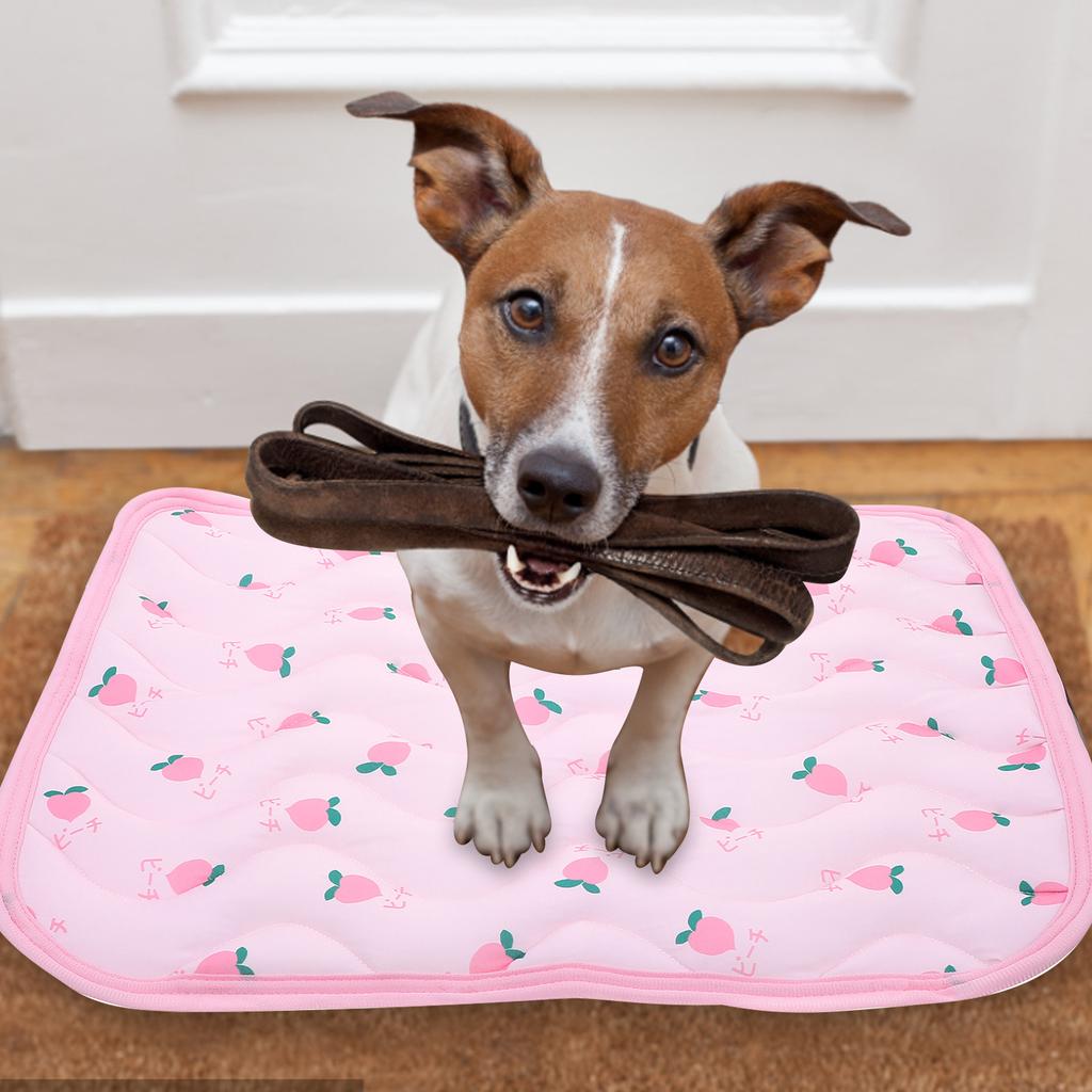 Cat Dog Cooling Mat Summer Heat Protection Portable Sleep Pad Household Pet Accessory High Grade Material Soft Easy Care Surface