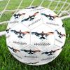 Fotbal – Mingi de fotbal